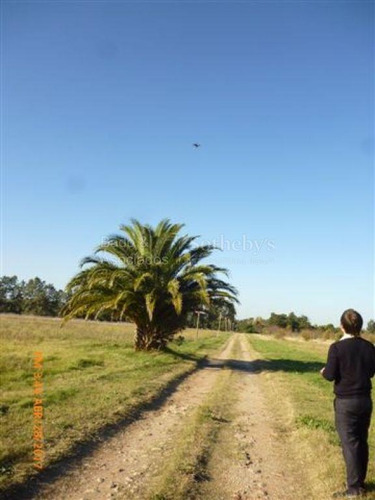 Imagen 8 de 11 de Chacra Con Certificación De Producción Orgánica