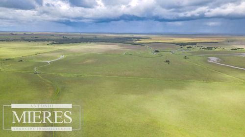 Campo En Rocha Ganadero Agrícola 125ha (ref: Atm-7988)