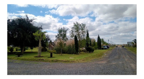 Imagen 4 de 10 de Ruta 2 Km 65 Campos De La Enriqueta Lote