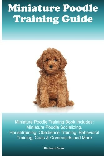 Miniature Poodle Training Guide Miniature Poodle Training Bo