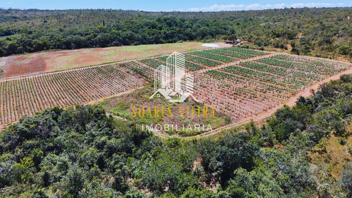 Fazenda Com 685 Hectares À Venda Em Jequitiba / Cordisburgo