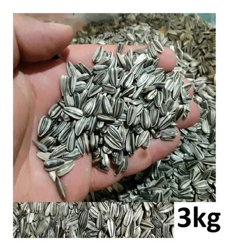 Semente 3 Kg Girassol Pequeno Para Pássaros Papagaio Miudo