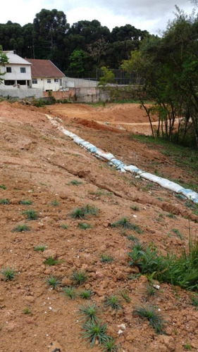 Imagem 4 de 15 de Terreno Em Condomínio Para Venda Em Curitiba, Santa Cândida - 337_2-1090134