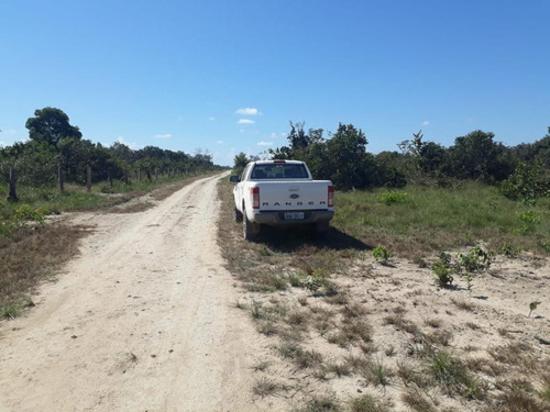 Imagem 17 de 28 de Fazenda À Venda, 3.106 Ha Por R$ 30.000.000 - Zona Rural - Cocalinho/mt - Fa0002