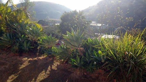 Imagem 14 de 15 de Casa Em Três Porteiras - Paty Do Alferes - 2093