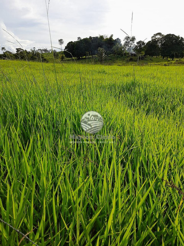 Imagem 4 de 8 de Venda Fazenda Machadinho D'oeste Em Rondônia - Faz313
