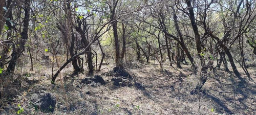 Imagen 5 de 13 de Venta Fracción 2 Has Unquillo-córdoba- A 1,5 Km De Av San Martín-sierras Chicas