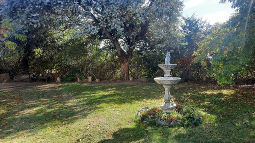 Imagen 13 de 15 de Casa Quinta En Colonia Suiza