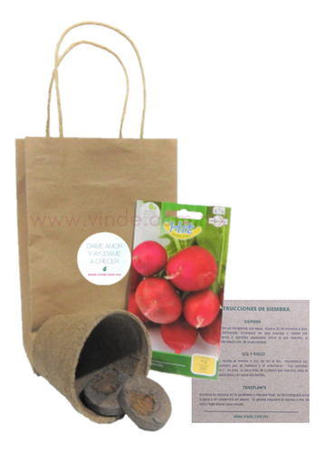 10 Piezas Kit De Huerto 1 Semilla Regalos Ecológicos Eventos