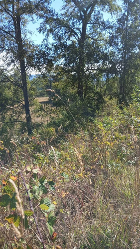 Parcela En Venta En Fresia 7.000.000m2