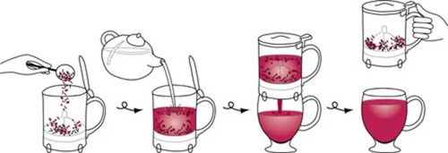 Imagem 4 de 4 de Handy Brew Bule Chá Chaleira Infusão Direto Na Xícara 500ml
