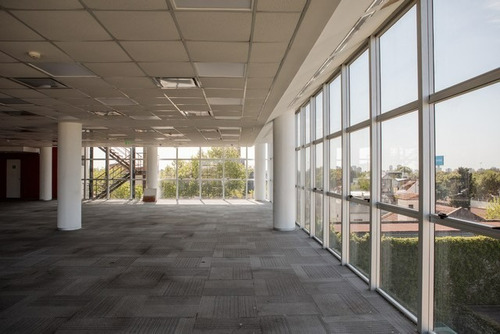 Imagen 4 de 11 de Oficina En Alquiler | Greending Ugarte | 416 M² Semipiso