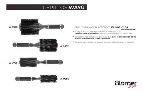 Cepillos Blomer (9650)