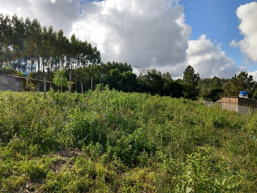 Chácara 1.080 M² - Mato Fino - Gravataí - Rs - 1851 - 32710177