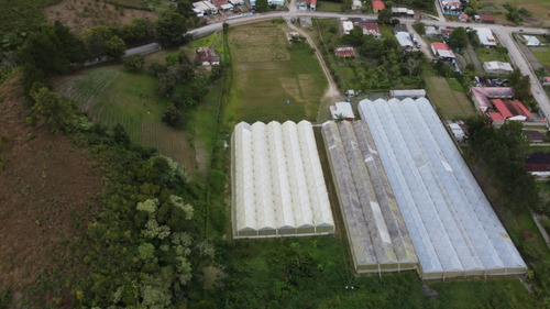 Imagen 3 de 15 de En Venta Finca De 2 Hectáreas En La Guanota