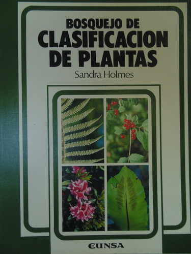 Bosquejo De Clasificacion De Plantas Holmes