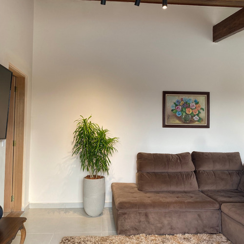 Vaso Argos 150x35 Cm Cor Cimento Com Pleomele Fita