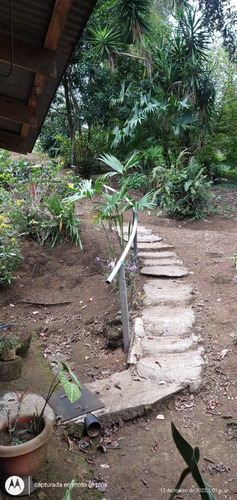 Imagen 12 de 12 de Finca 7000 M2, A 10 Minutos De La Fortuna De San Carlos, Vista Al Volcán Arenal