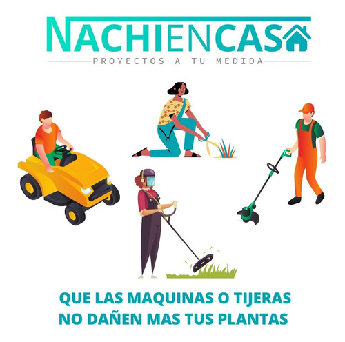 Imagen 7 de 10 de Fleje De Acero Inoxidable Para Bordes De Canteros Y Caminos