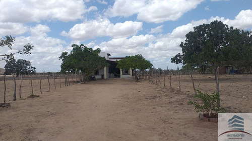 Imagem 4 de 14 de Granja A Venda Em Tangará
