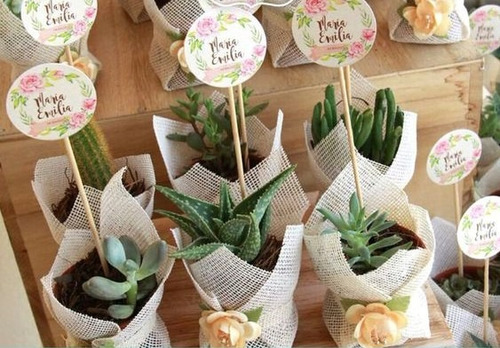 Imagen 8 de 8 de Regalo Suculentas Cactus, Recuerdo Promoción, Matri Misa Año