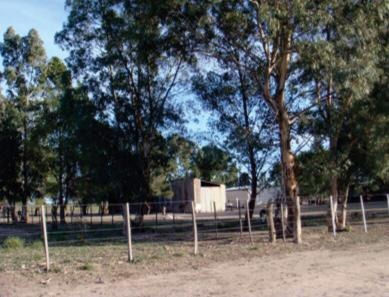 Imagen 4 de 12 de Campo - La Pampa. Caleu Caleu