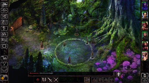 Baldur's Gate: Siege Of Dragonspear | Pc | Steam | Original