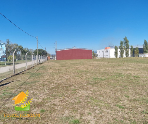 Alquiler De Terreno Sobre Ruta 5