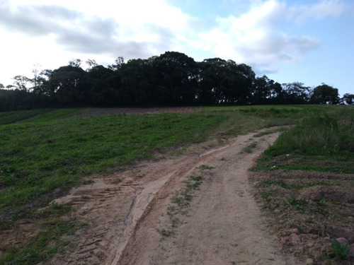 Imagem 17 de 30 de 20o Terreno A Venda Para Investimento