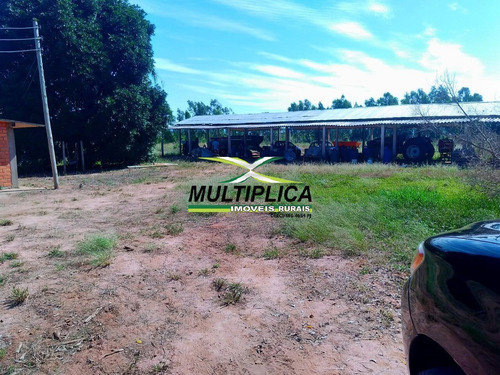 Imagem 6 de 13 de Fazenda 250 Ha, R$19.200,00 Por Ha Pres. Olegário, Agricultura E Pecuária - 407