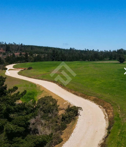 Parcela En Venta En Pichilemu- 5000 Mts