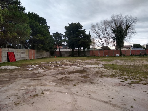 Imagen 4 de 20 de Manzana En Venta Con Galpón