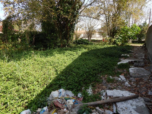 Imagem 3 de 8 de Terreno Bairro Convento Velho A Venda Na Praia De Peruíbe