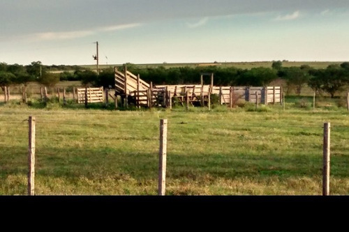 Imagen 12 de 14 de Campo En Venta En Concepcion Del Uruguay