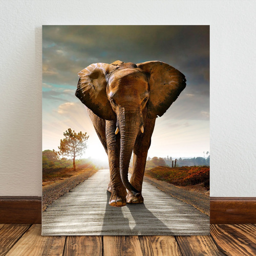 Cuadro Elefantes Moderno Bastidor Canvas 130x90 Vertical E11