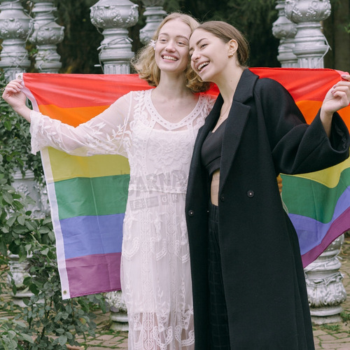 Bandera Lgbt Pride Orgullo Gay Arcoiris 155x88 Cm | Meses sin intereses