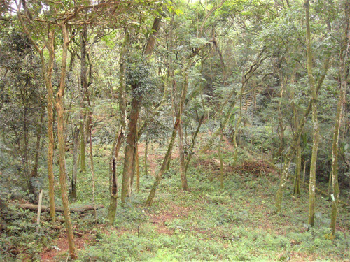 Imagem 2 de 11 de Terreno À Venda, 1472 M² 0 - Granja Viana - Carapicuíba/sp - Te9125