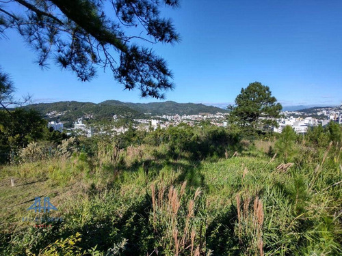 Imagem 10 de 26 de Terreno À Venda, 489 M² Por R$ 697.500,00 - Itacorubi - Florianópolis/sc - Te0085