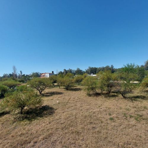 Lote En Venta, Villa California, San Jose Del Rincon, Santa 