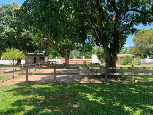 Imagem 11 de 15 de Chácara-à Venda-vila Rica-itaboraí - Coch30001