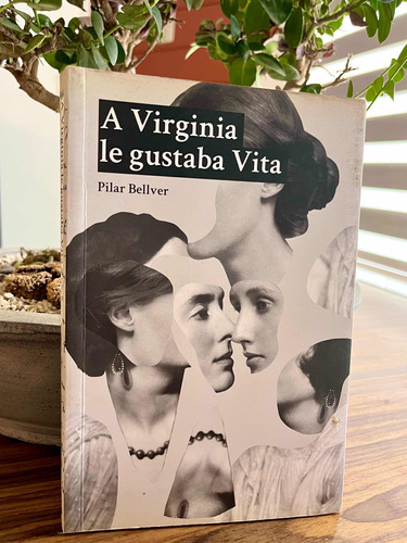 Libro A Virginia Le Gusta Vita, Pilar Bellver