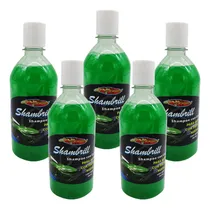 Comprar 5 Shampoo Con Cera Pinturas Nuevas Limpieza Proteccion 500ml