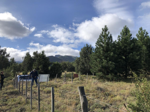 Imagen 4 de 5 de Venta Lote 1000 M2 Mza T2 Alambrado Y Forestado - Lago Meliquina