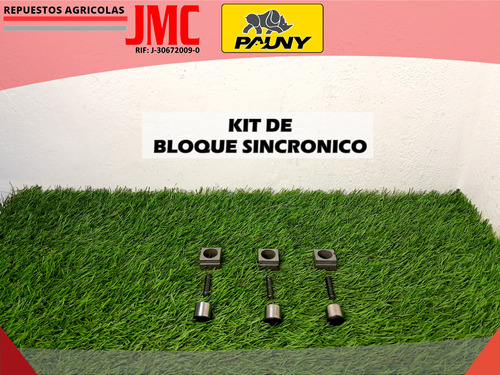 Kit De Bloque Sincronico Pauny