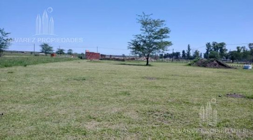 Imagen 3 de 8 de Terreno - Merlo