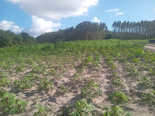 Área De Terra Com 12 Tarefas