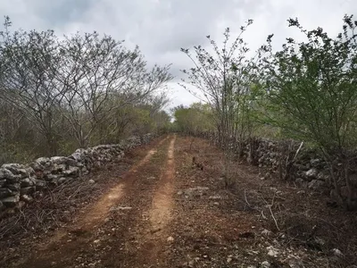 Terreno en venta