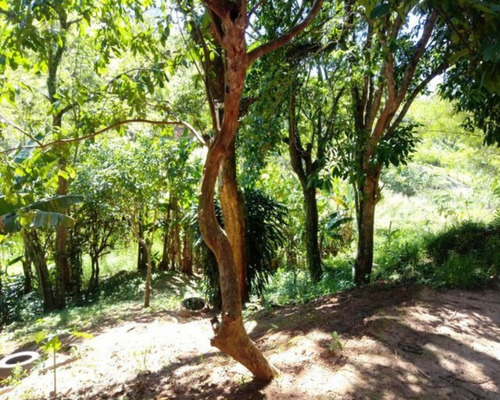 Imagem 10 de 21 de Chácara À Venda,5000.00 M², Bairro Da Pernambucana, Sao Jose Dos Campos - Sp - 2234