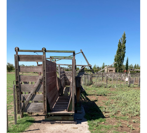 Finca Gral Alvear, 71 Hcts,en Producción Y Con Equipamiento.