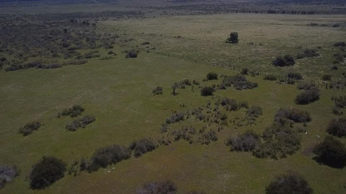 Chacra 1 Hectárea A Metros De La Ruta 259 Esquel-trevelin